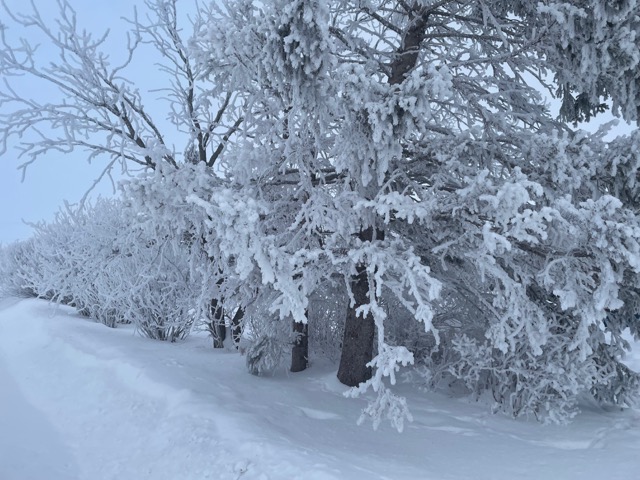 Hoarfrost